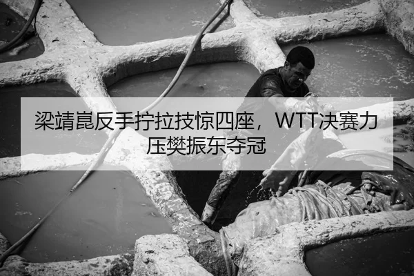 梁靖崑反手拧拉技惊四座，WTT决赛力压樊振东夺冠